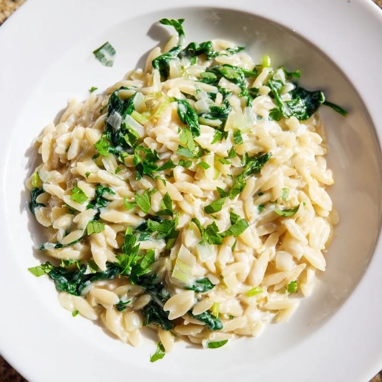 Dieser leckere One-Pot Creamy Orzo ist fertig zum Genießen, mit cremigem Käse und Gemüse.